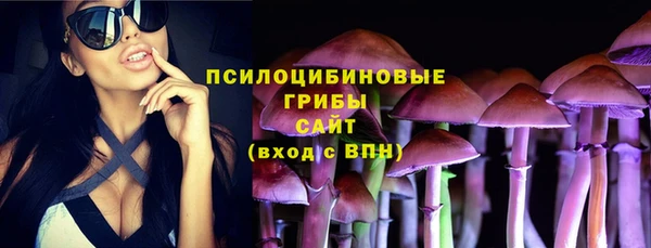 ешки Алексин