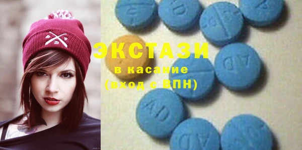 стаф Каменка