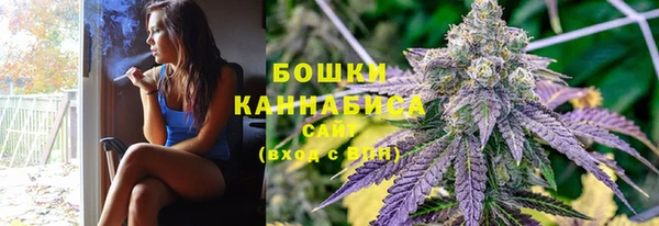 PSILOCYBIN Алексеевка