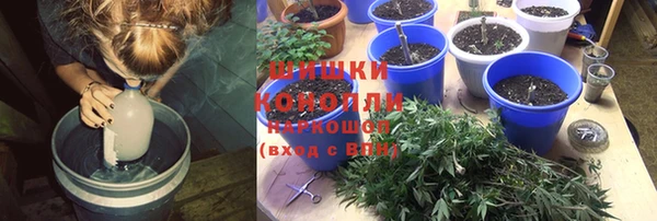 PSILOCYBIN Алексеевка