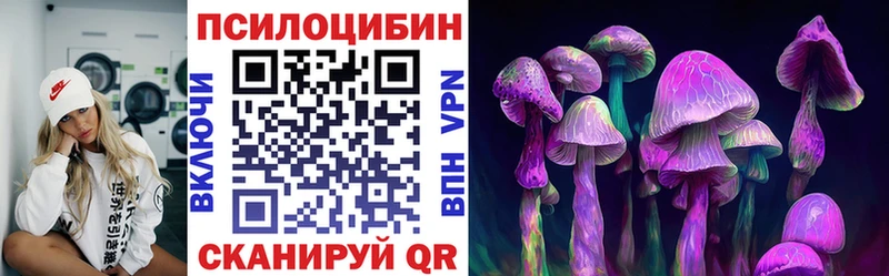 Галлюциногенные грибы Psilocybe  Заполярный 