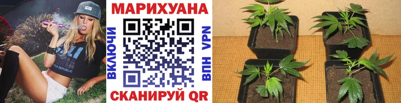 Каннабис тримм  МЕГА зеркало  Заполярный 