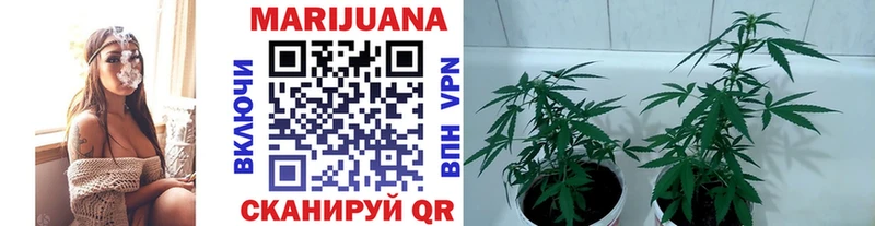 Шишки марихуана OG Kush Заполярный